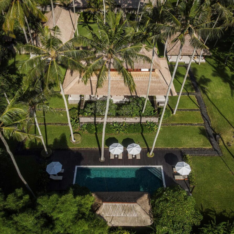 Wangi Felixe - Drone