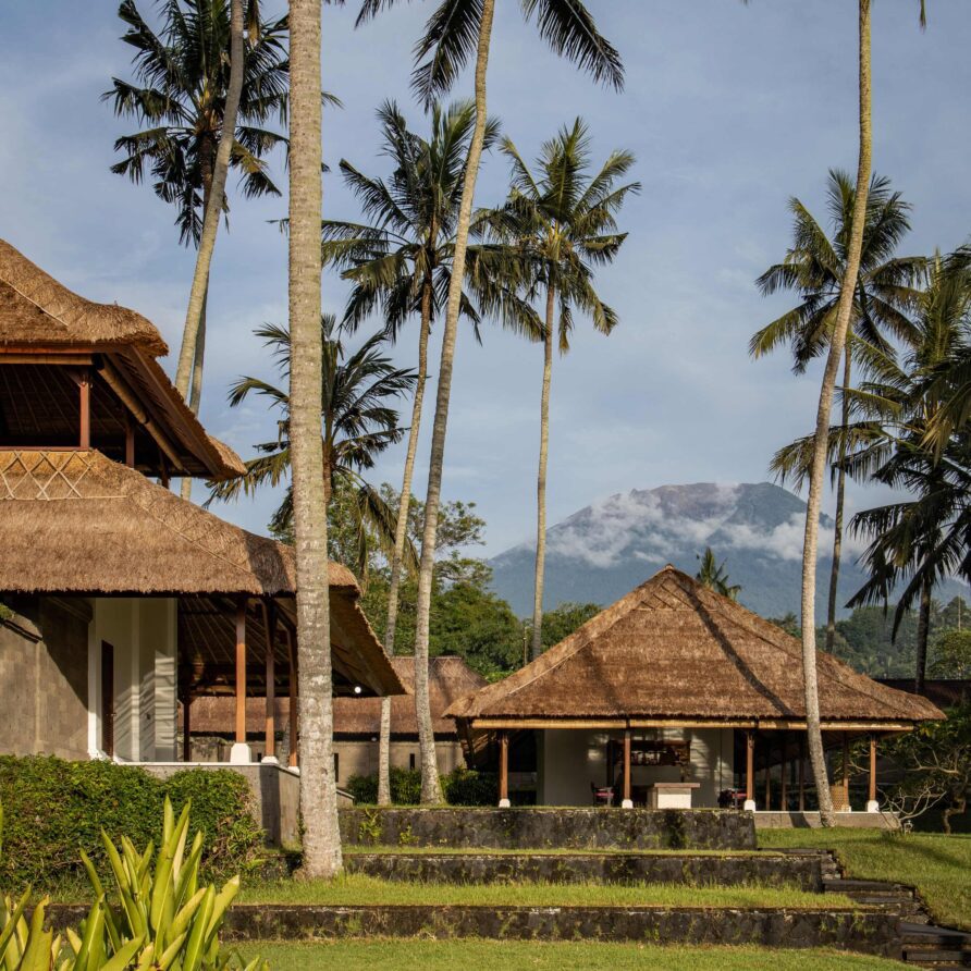 Wangi Felixe - Garden